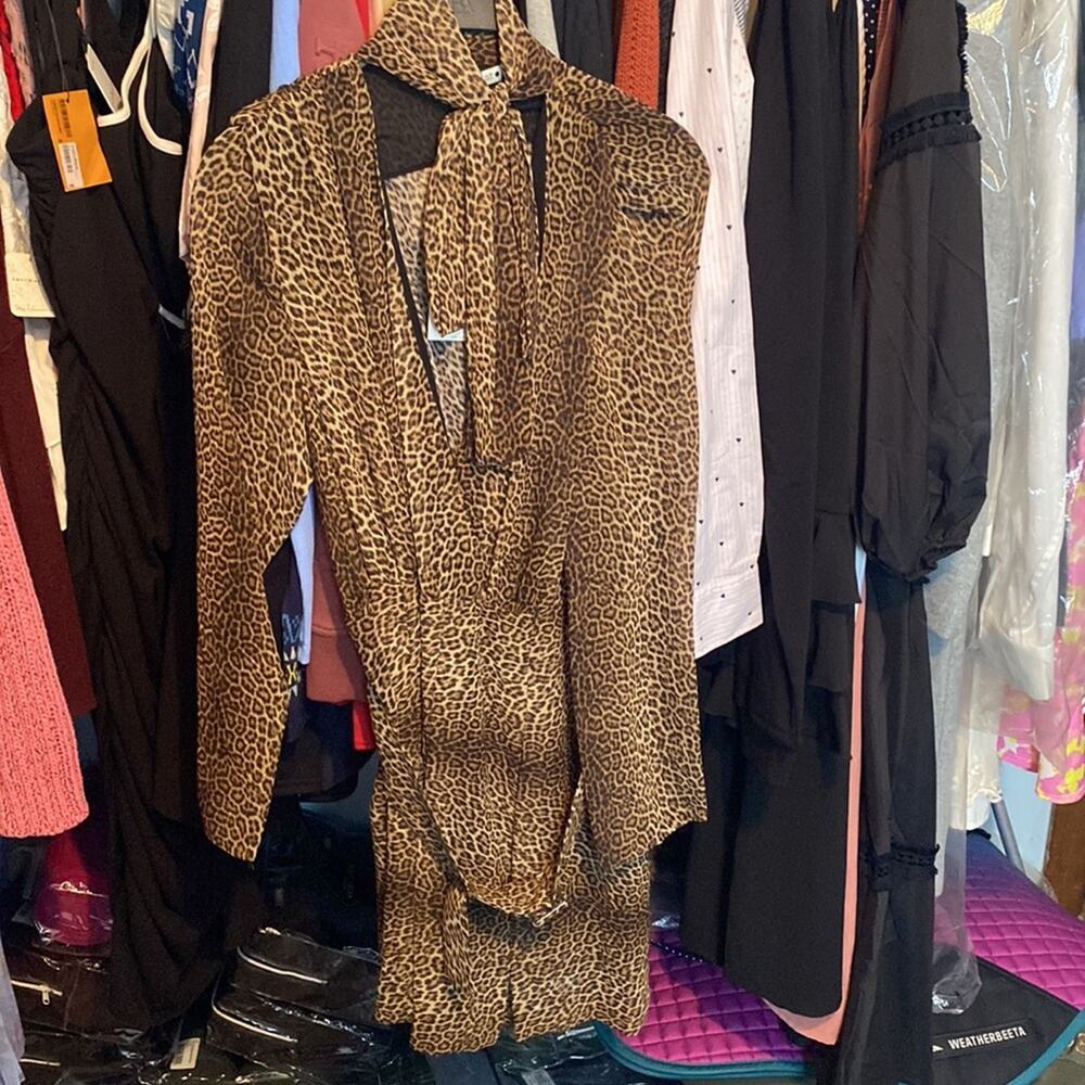 Zara Animal print dress - Picture 2 of 12